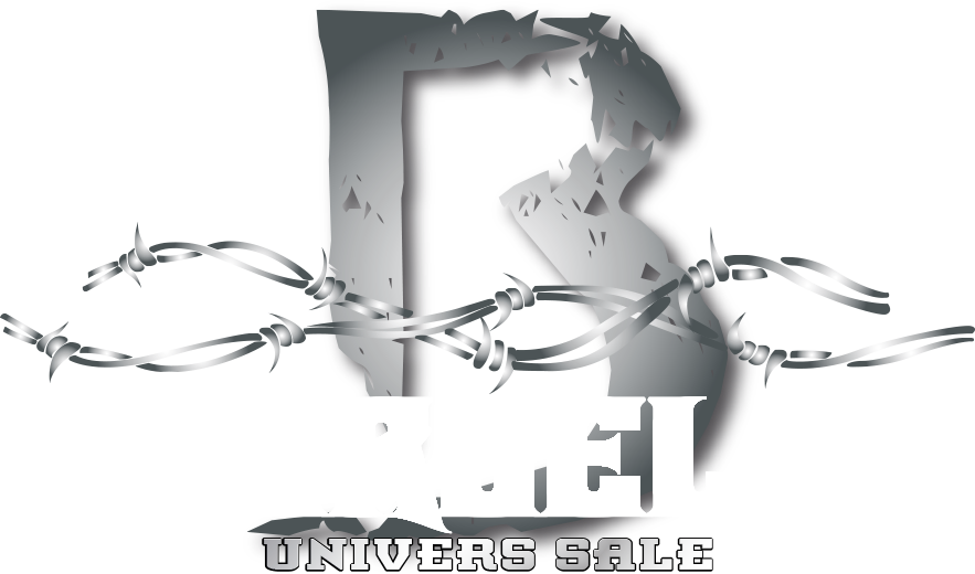Logo Barbele - Univers Sale